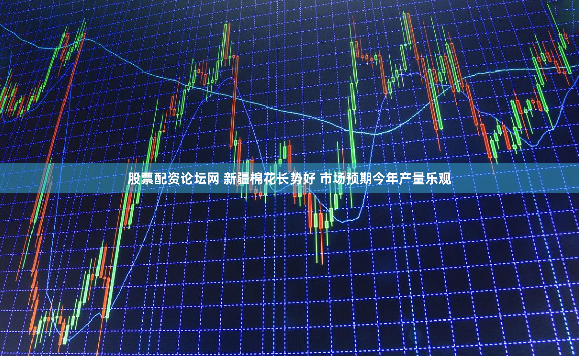 股票配资论坛网 新疆棉花长势好 市场预期今年产量乐观